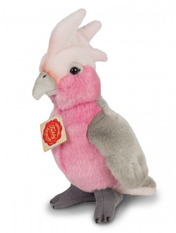 galah plush