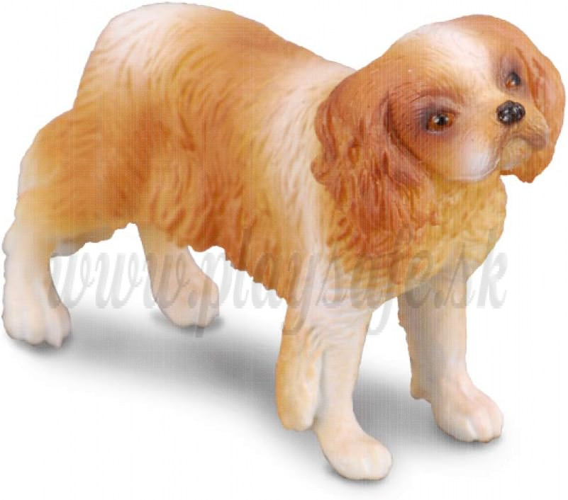 Collecta Psík Cavalier King Charles španiel, 1ks
