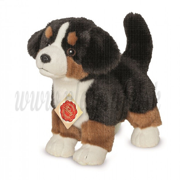 Teddy Hermann Plyšový psík bernský salašnícky pes šteňa, 23cm