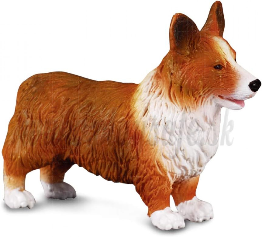 Collecta Welsh Corgi Animal Toy Figure 