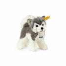 Steiff Soft toy Husky Bernie, 17cm