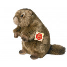 Teddy Hermann Soft toy Marmot, 20cm